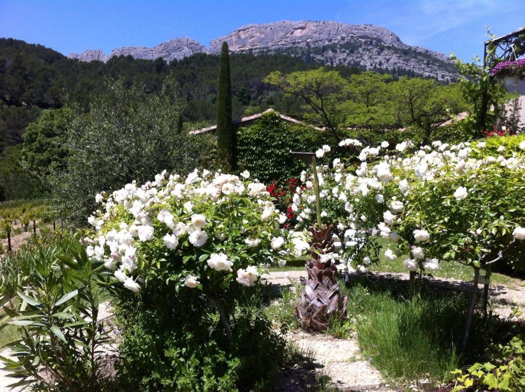 Le Grand Jardin Bed and Breakfast Lafare Eksteriør billede