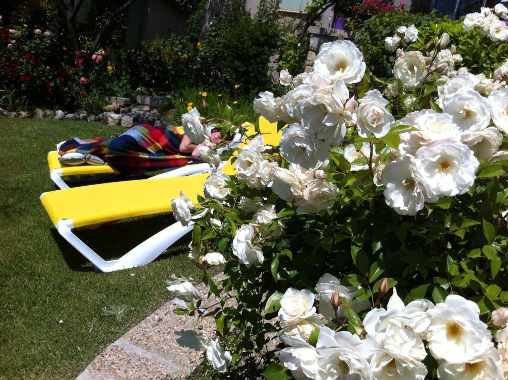 Le Grand Jardin Bed and Breakfast Lafare Eksteriør billede