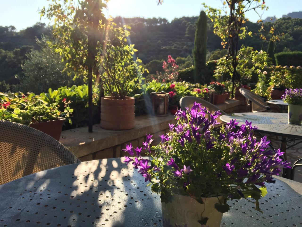 Le Grand Jardin Bed and Breakfast Lafare Eksteriør billede