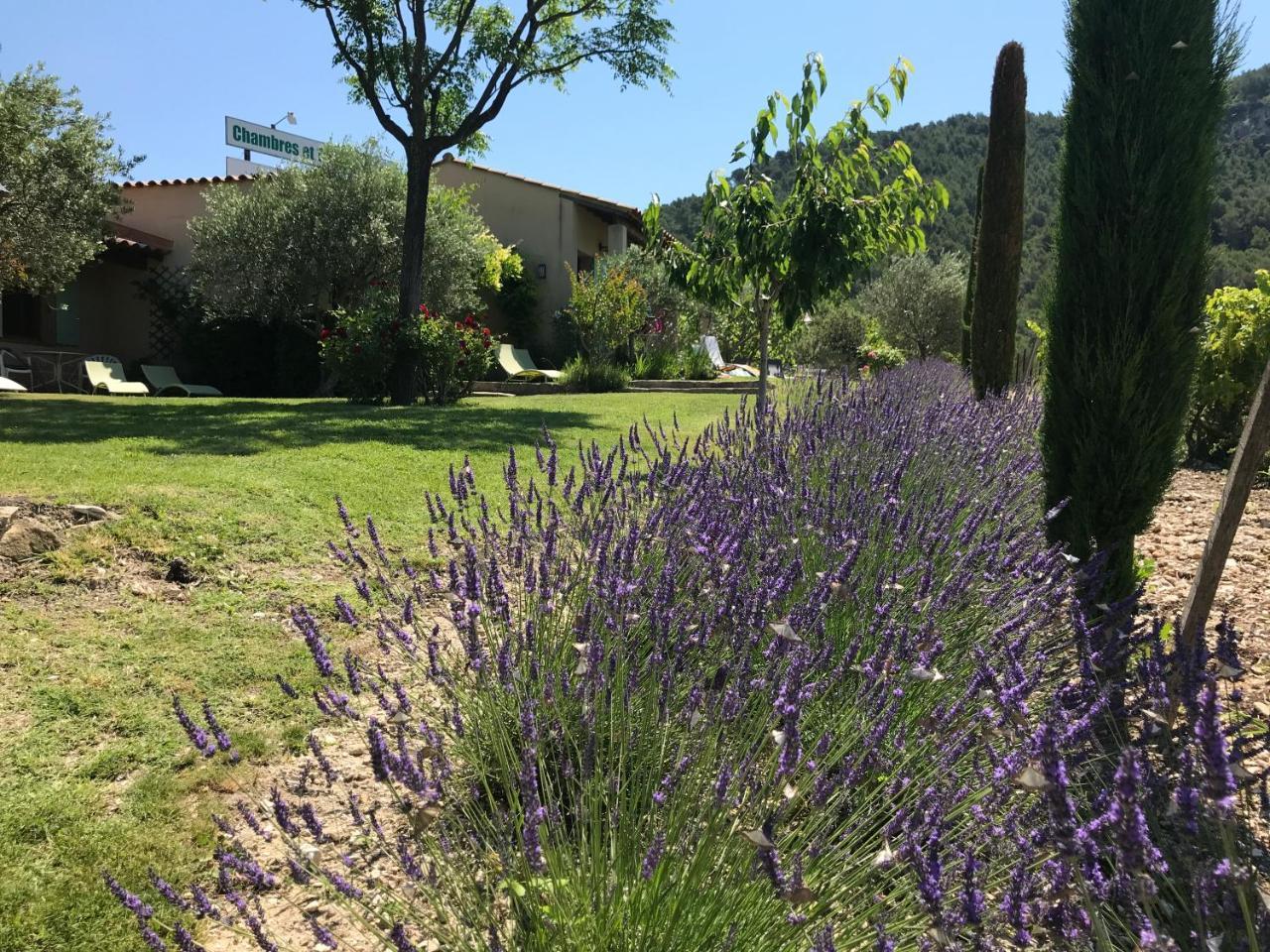 Le Grand Jardin Bed and Breakfast Lafare Eksteriør billede